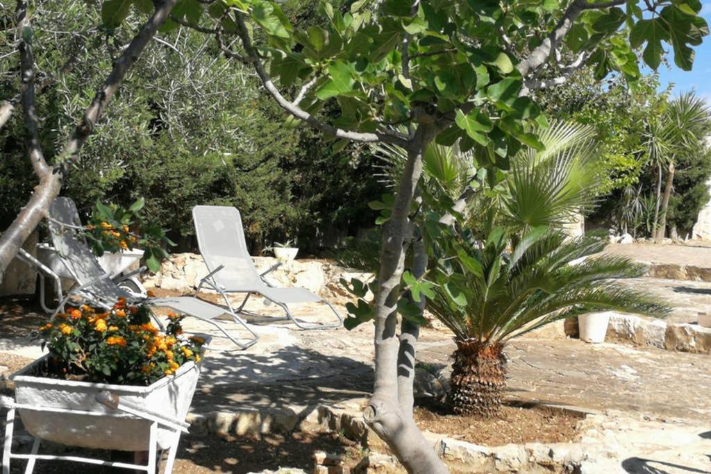 Villa Arenella Vieste Eksteriør bilde