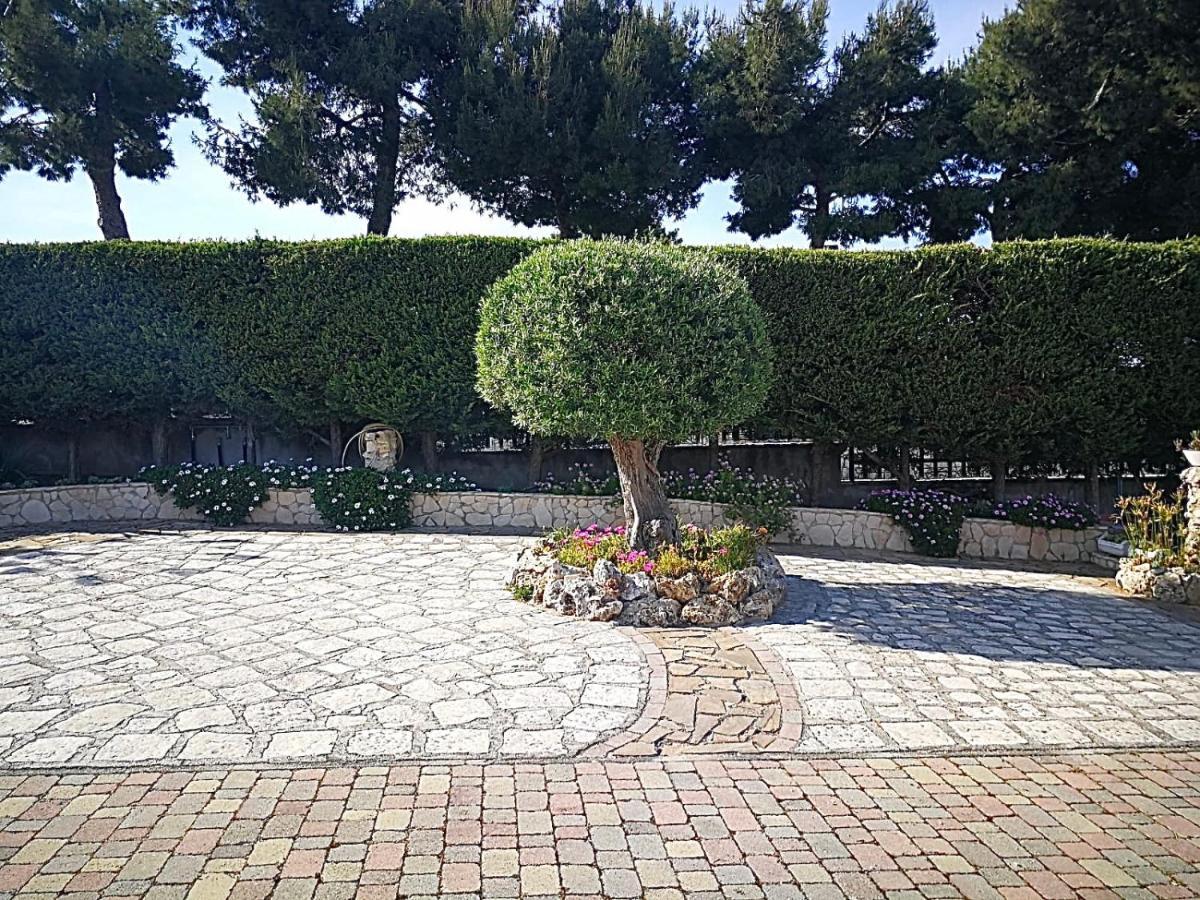 Villa Arenella Vieste Eksteriør bilde